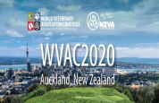 World Veterinary Association Congress 2020 logo